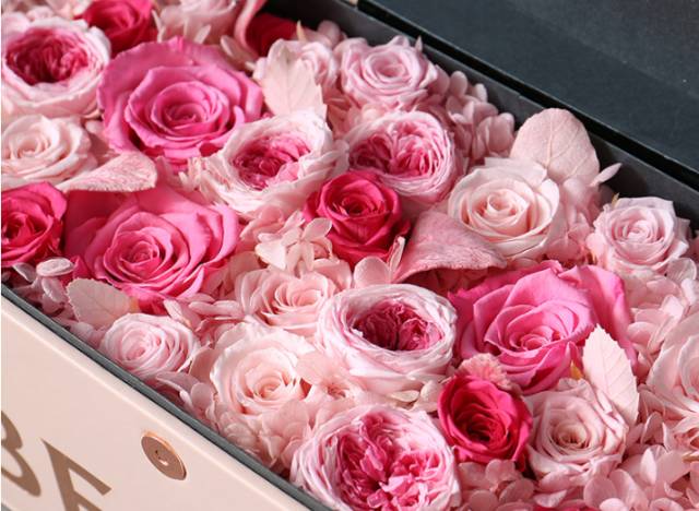 圣诞送口红好吗,圣诞送礼不如送美丽健康