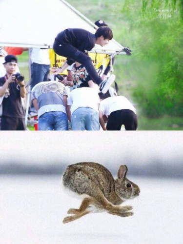 王俊凯会像苍鹰一样倔强,小螃蟹在王俊凯面前可以有多乖