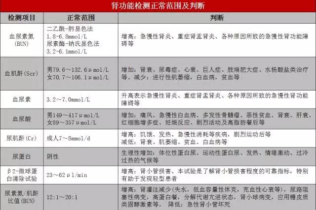 三分钟教你看懂体检报告,投保要体检有哪些内容