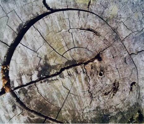 祭奠英烈纪念品,适合diy的纪念品