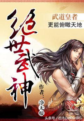 被人追捧的小说,被无数读者奉为神作小说