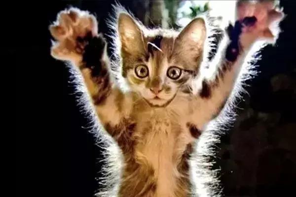 怎么去除静电不被电击,经常被静电电击怎么处理