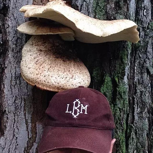 华裔马格南摄影师,马格南最年轻的摄影师