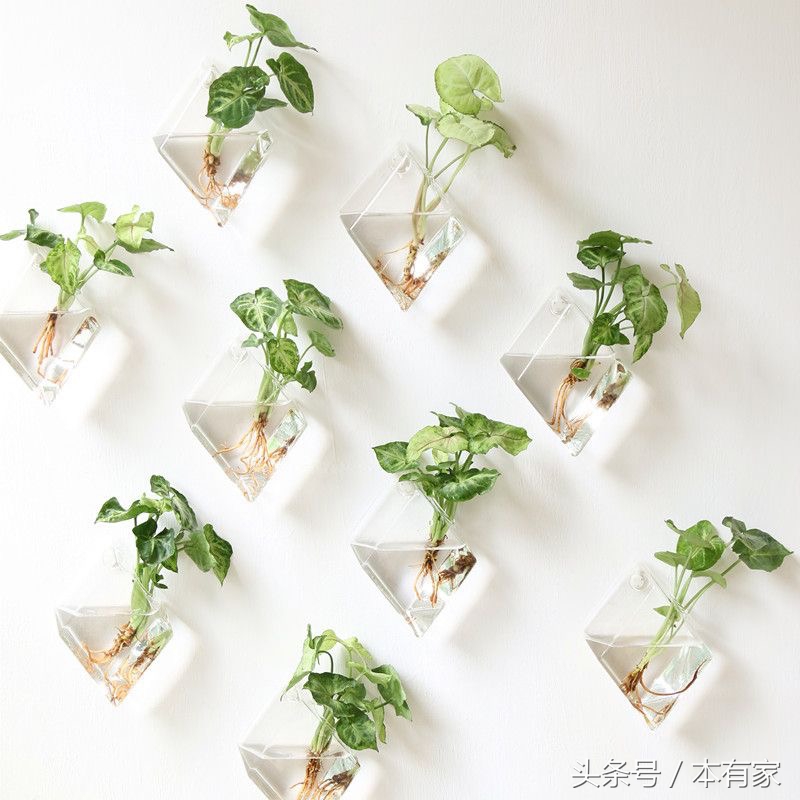 居家必备小妙招学会家里焕然一新,最省钱最实用的家居小妙招