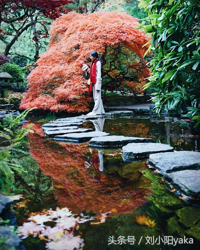 维多利亚水廊旅游,加拿大旅行景点