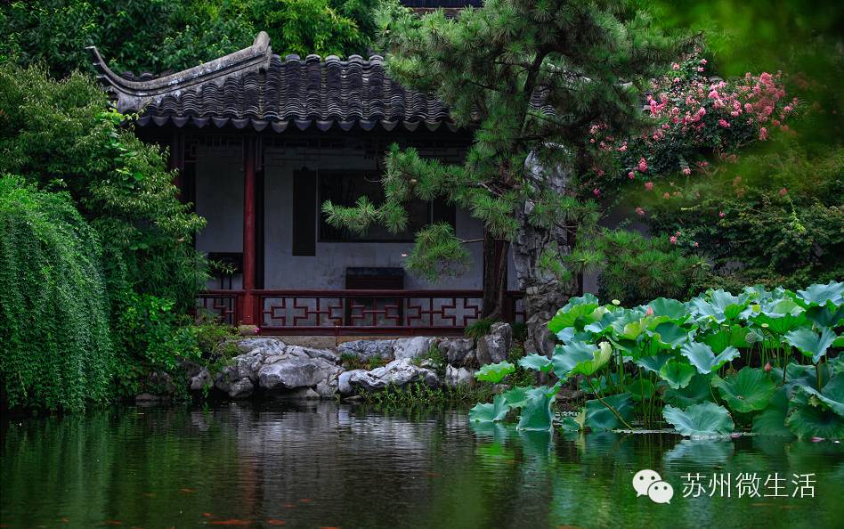 快看！苏州要在全球出名了！竟然与纽约、伦敦、东京、巴黎同上一个榜单...