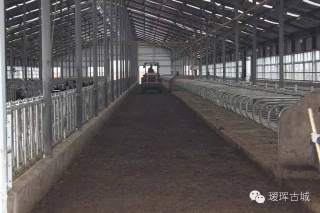 揭秘奶粉市场,黑河探店揭秘