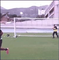 wc是厕所吗,请问wc是厕所的意思吗