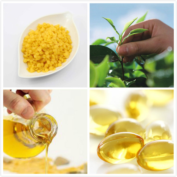 护唇薄荷唇膏,薄荷唇膏是保湿的