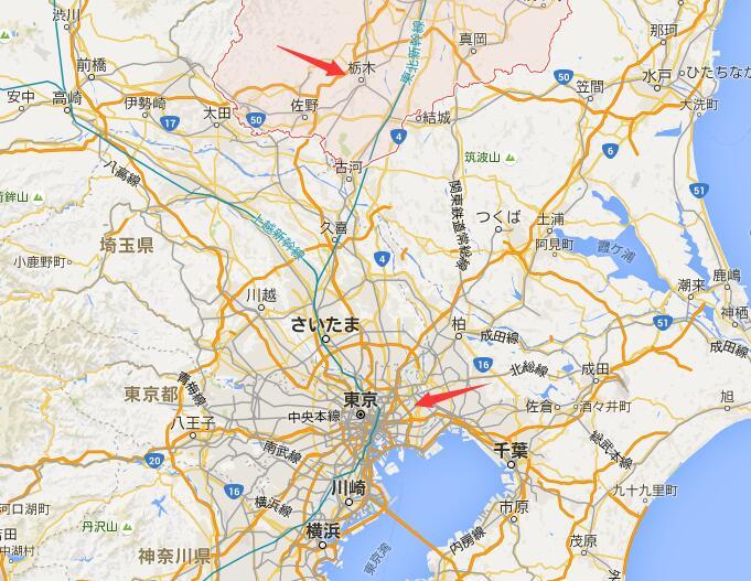 中国人制作的留日和归来(三)-专访上海MCC创始人李佳雯