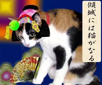 日本人有多恨猫（Excuseme？）