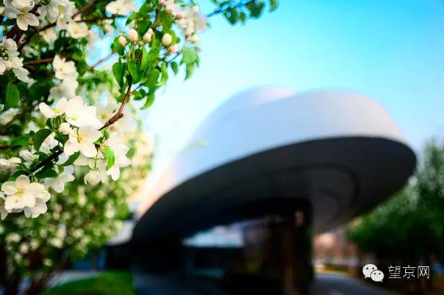 如果有人说“望京什么破地儿?”就把这条微信甩给他