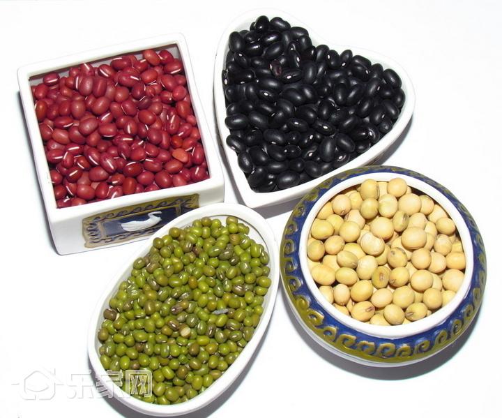 不可思议的冰箱,冰箱真的能养鱼吗