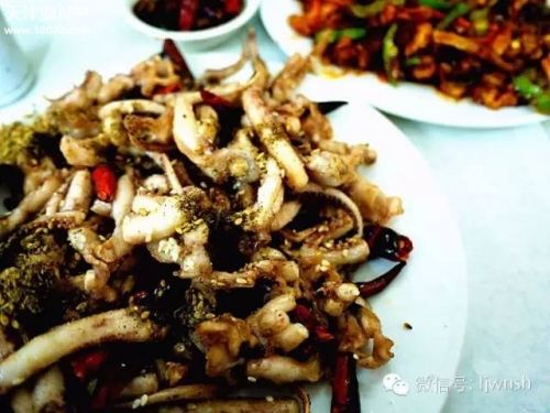 天津正宗津味老字号菜馆,天津正宗津味素菜