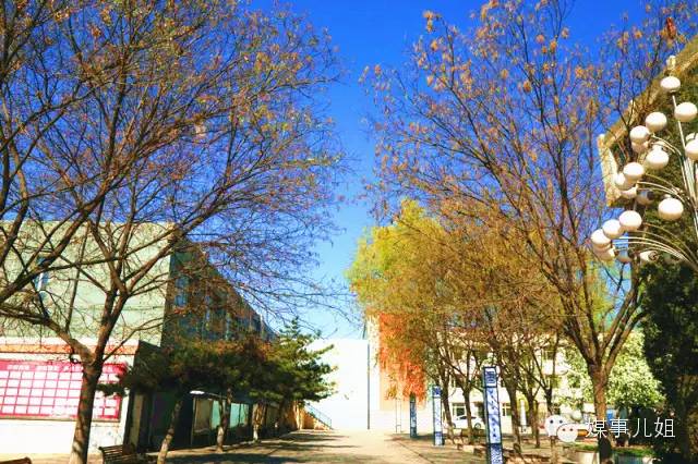 包钢三中真的要改名吗,包钢三中整体成绩怎么样