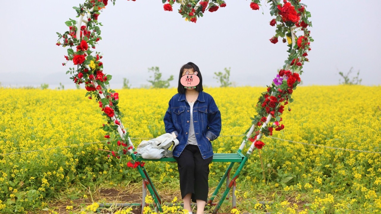 全过程记录,揭秘廉价济州岛跟团游背后的真相