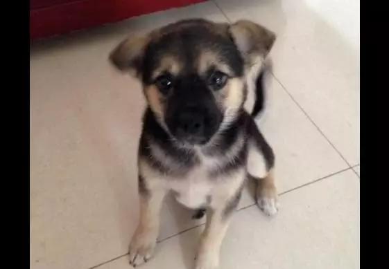 南昌青旅旅游住宿攻略,江西南昌青旅推荐