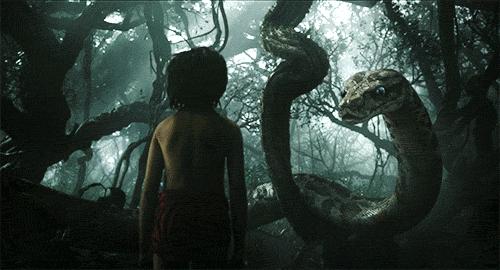 太赞了！一位10岁的小男孩撑起了整部奇幻森林！