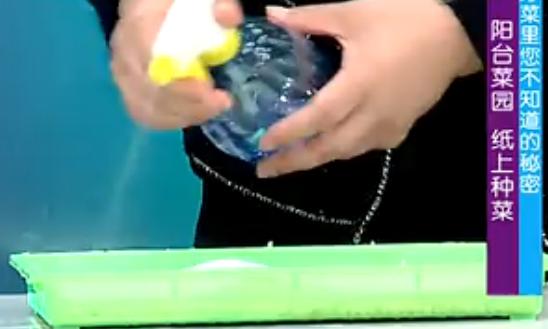 最新纸上适合家庭种菜的方法,纸上种菜方法