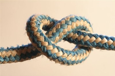 一个小故事告诉我们一个道理,靠自己的小故事告诉我们什么道理