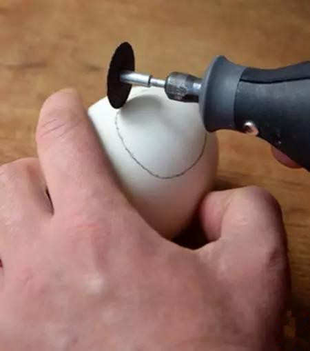 用鸡蛋壳这样养花1年不用施肥,鸡蛋壳别再扔了这样做比肉还好吃