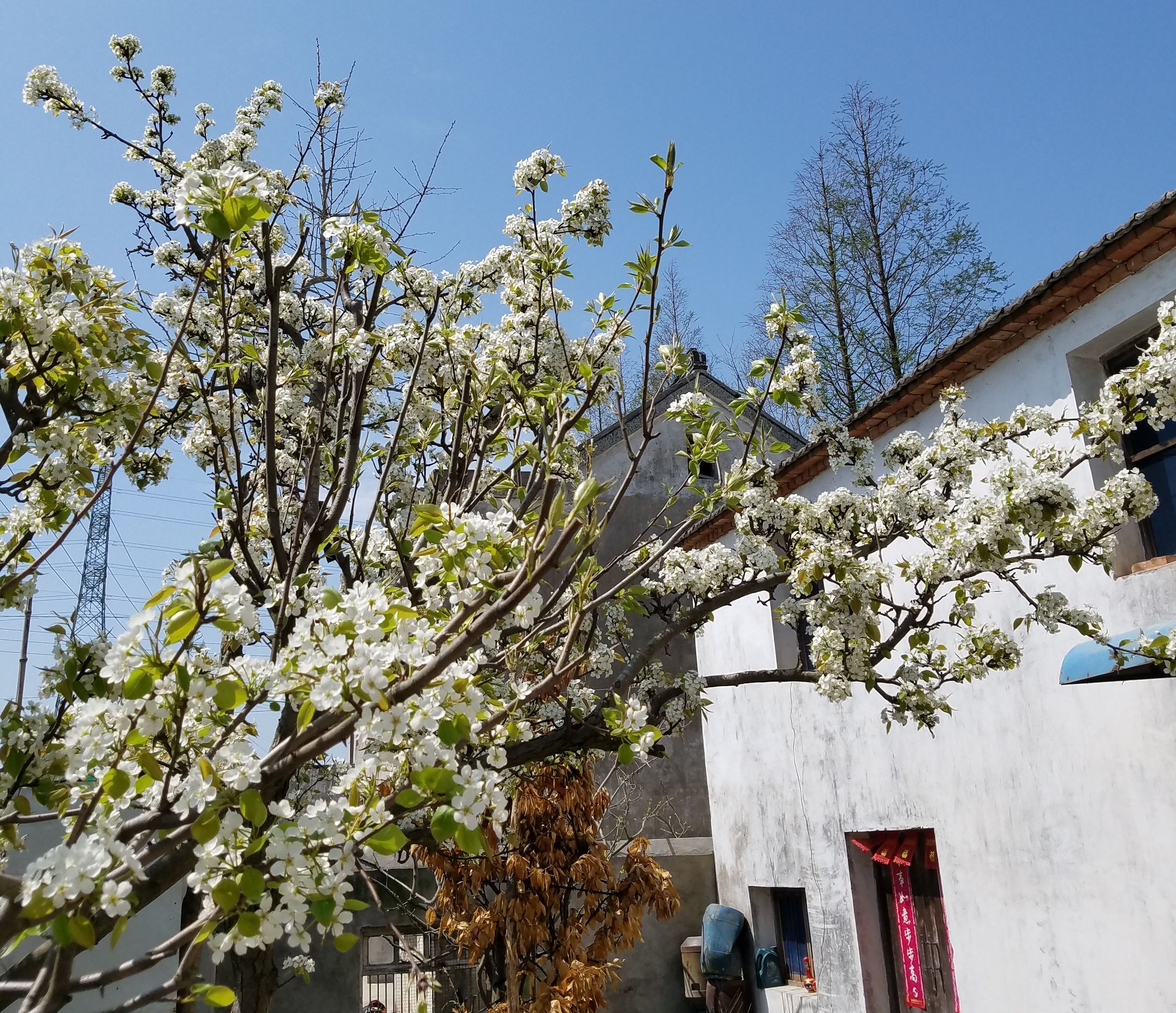 三星s7对比5s,三星s7e和note7