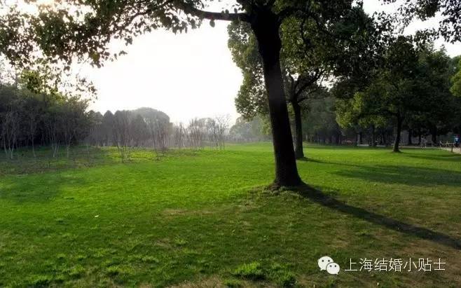 上海婚纱摄影哪家口碑好,上海贝拉婚纱摄影