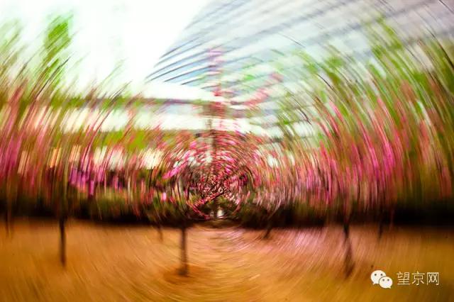 如果有人说“望京什么破地儿?”就把这条微信甩给他