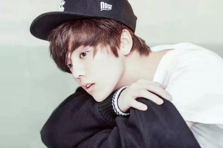 鹿晗爆红之路可以复制吗,鹿晗十大新闻