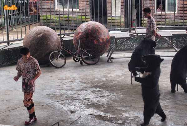 中南百草动物园,中南百草园萌宠乐园