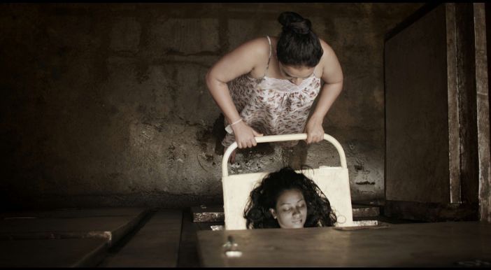 豆瓣年度日历,豆瓣日记2017