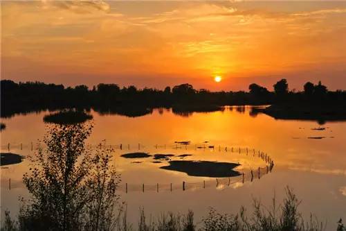 瀹佸绗竴缇庡コ鐓х墖,涓浗瀹佸绗竴缇庝汉