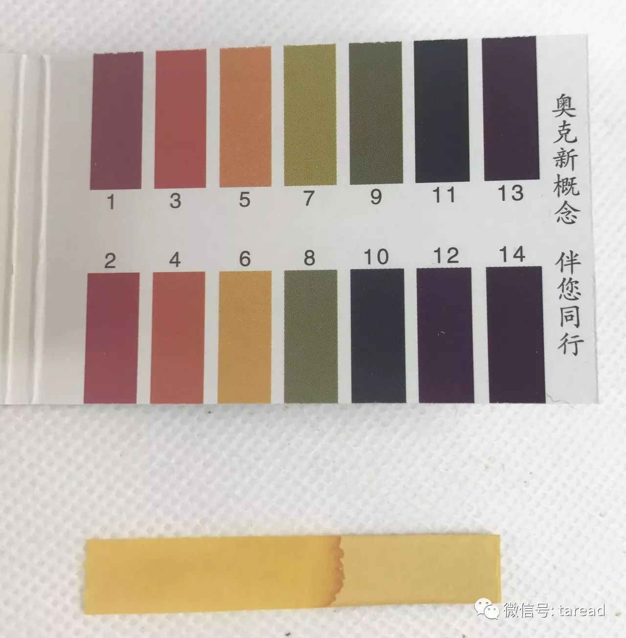 aminoacid氨基酸洁面乳国货,国货平价油皮洗面奶测评