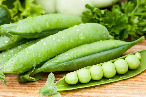 黄豌豆功效作用及禁忌,豌豆的营养价值与禁忌