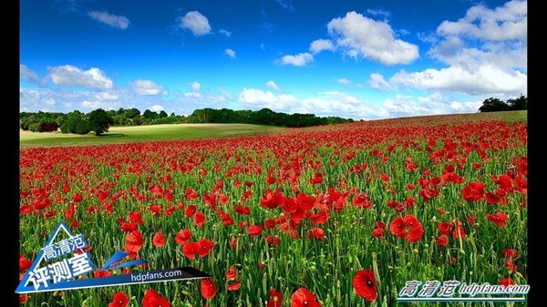 海美迪q5四代支持哪些局域网协议,海美迪机顶盒q5五代评测