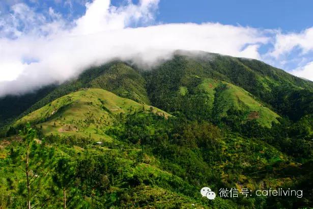 欢乐颂安迪吃邱莹莹做的饭,欢乐颂安迪给邱莹莹的咖啡