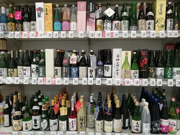 珊瑚海日本,陪你去看海底世界