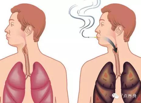 肝堵肺堵脾怎么调理,心怕累