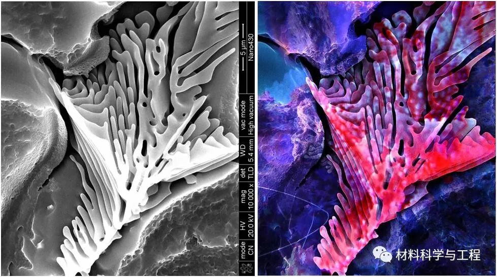 投票表决素材模板,投票素材图片图文