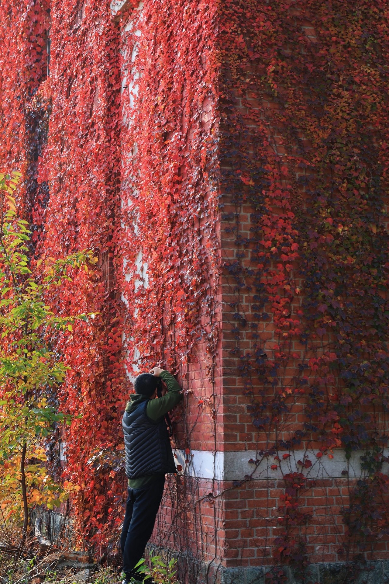爱上旅顺这座城,爱上大连这座城市