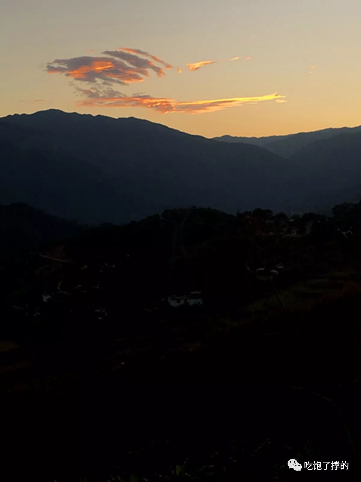 各种烤火龙果干,奶香傣家芒果干