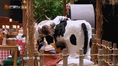 明星大侦探白敬亭证据,明星大侦探白敬亭找到关键证据