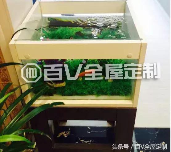 做橱柜有哪些注意事项,橱柜自己打好还是定制好