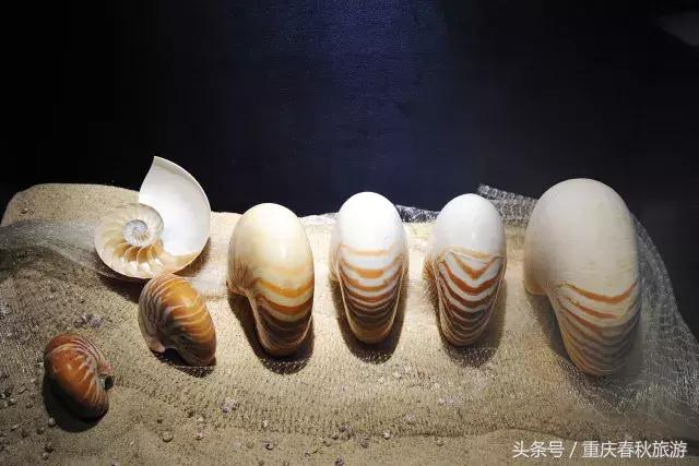 适合送同事的伴手礼,给办公室同事买什么礼物最有意义