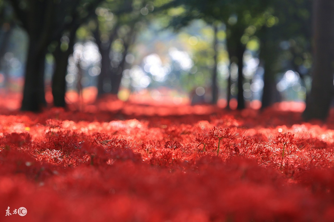 言情小说推荐男女双腹黑,爱恨情仇言情小说推荐