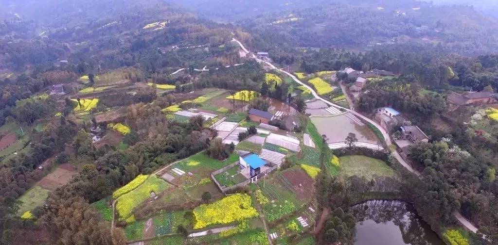 犍为县喜报,犍为近十年变化