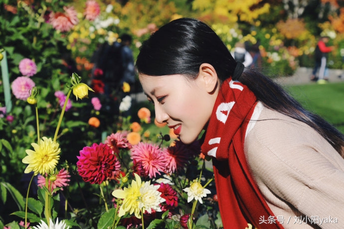 维多利亚水廊旅游,加拿大旅行景点