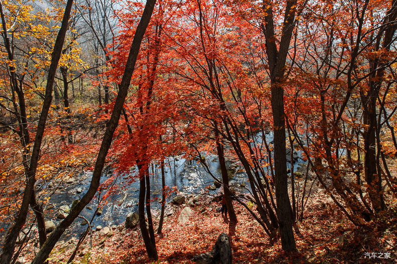 家乡之美美篇,家乡之美原唱完整版