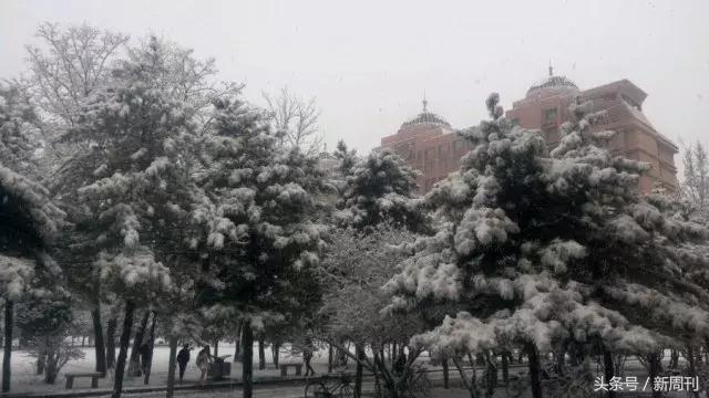 全球最美的十大雪景,全国十大最好看的雪景