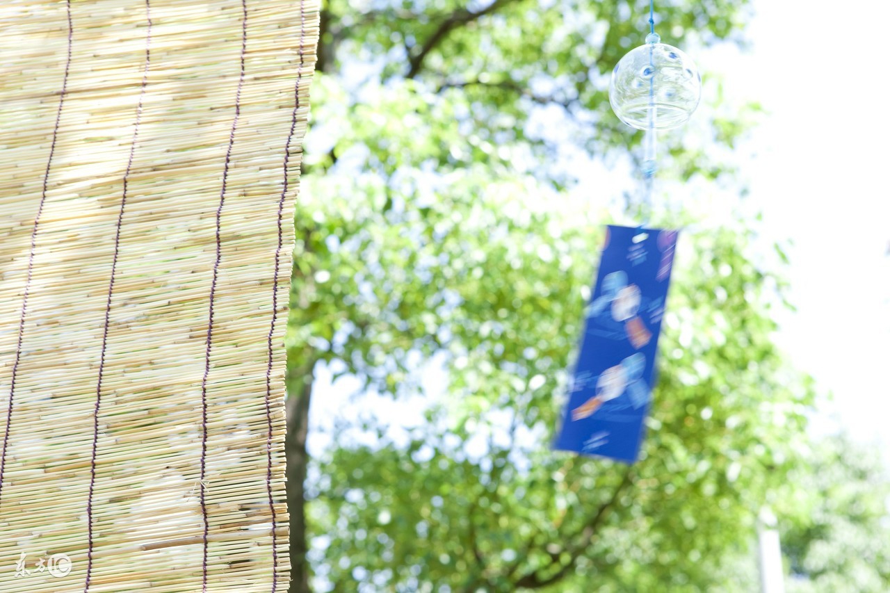 去日本买什么表最划算,去日本买什么最划算又便宜